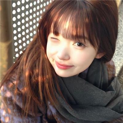 梅花档案
